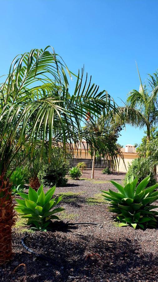 Ocean Romance Puerto de Santiago  Exterior photo